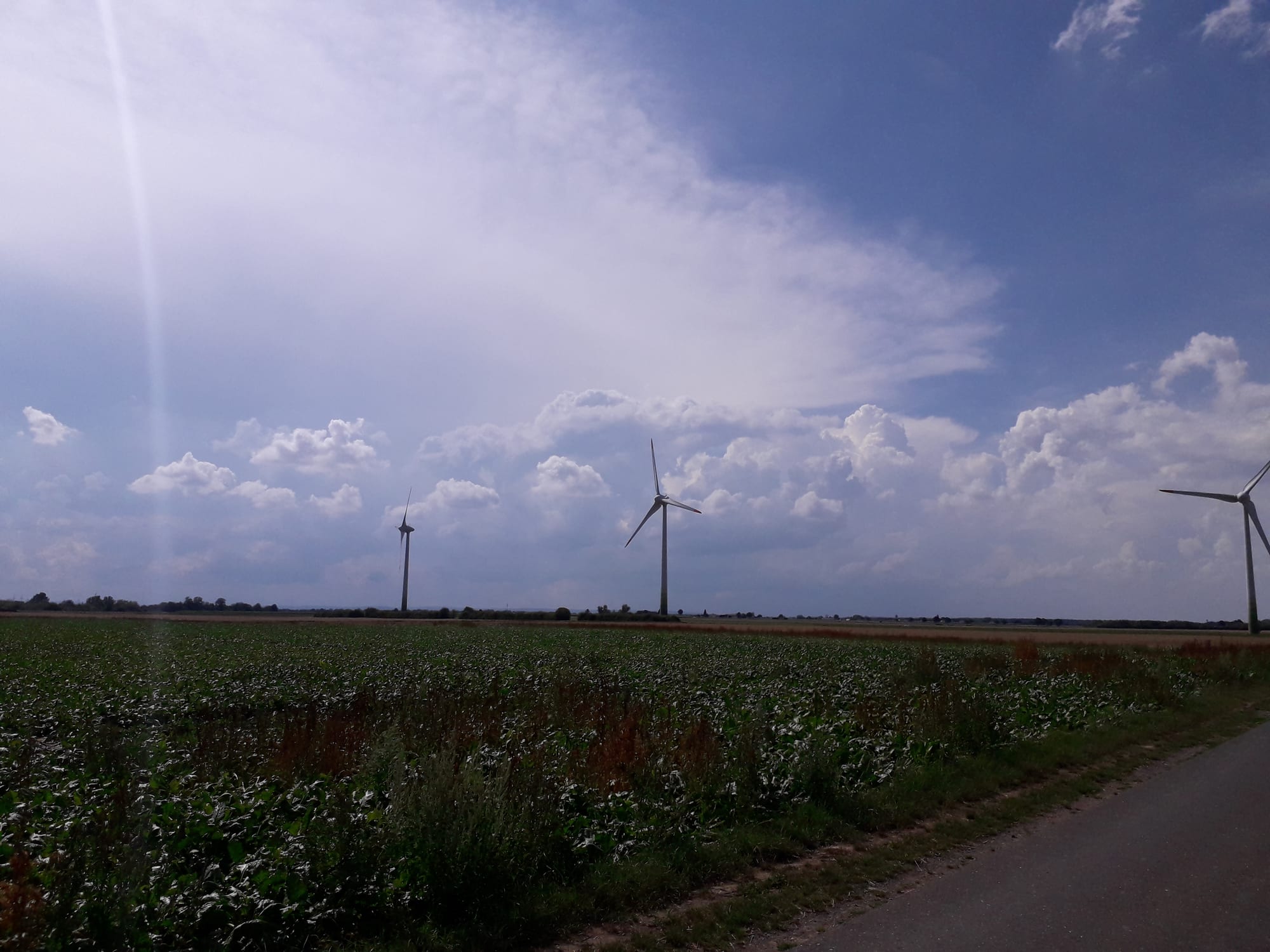 Wind turbines in an agricultural field on the outskirts of Gymnich